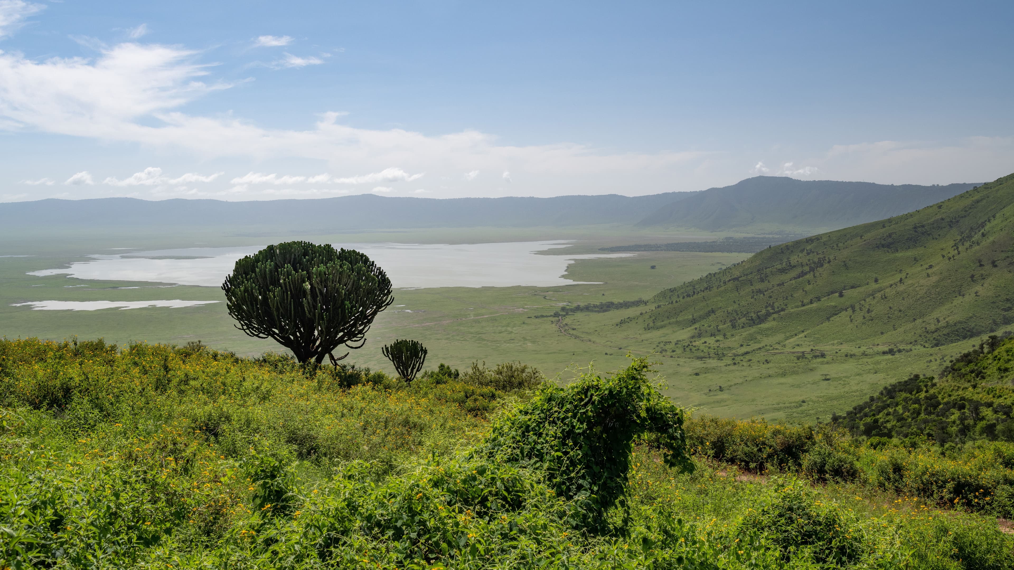 Ngorongoro Sunrise & Rim Walk