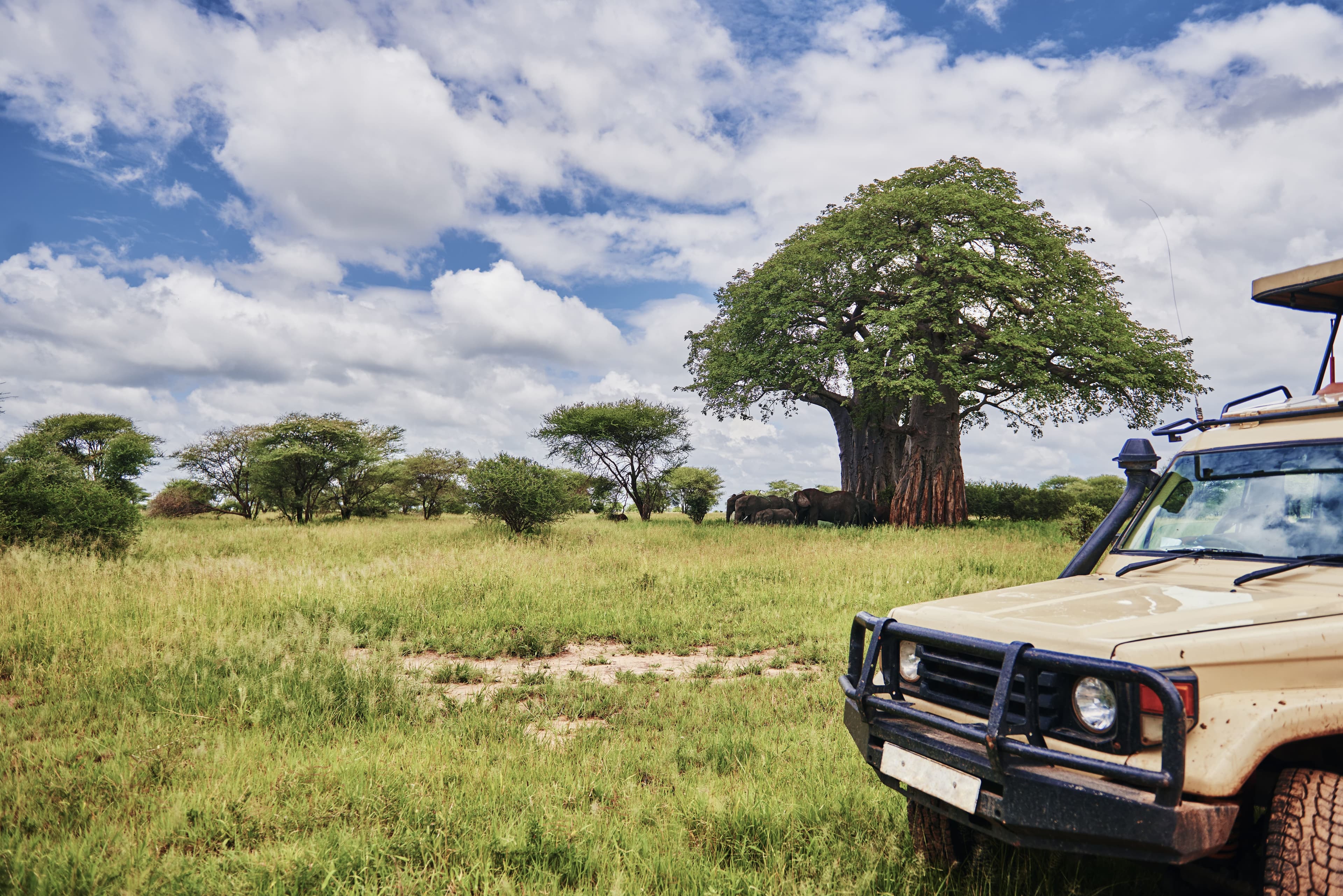 Complete Northern Tanzania Safari